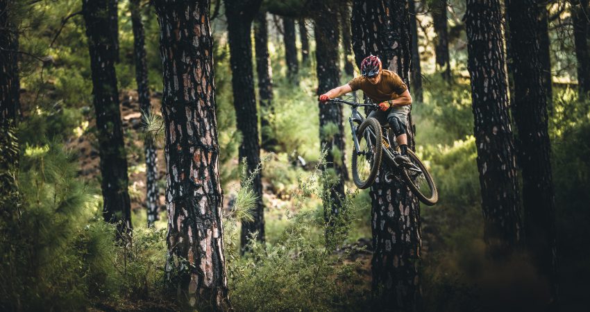 Jetzt Neu! Bikepark Kurs in Osternohe