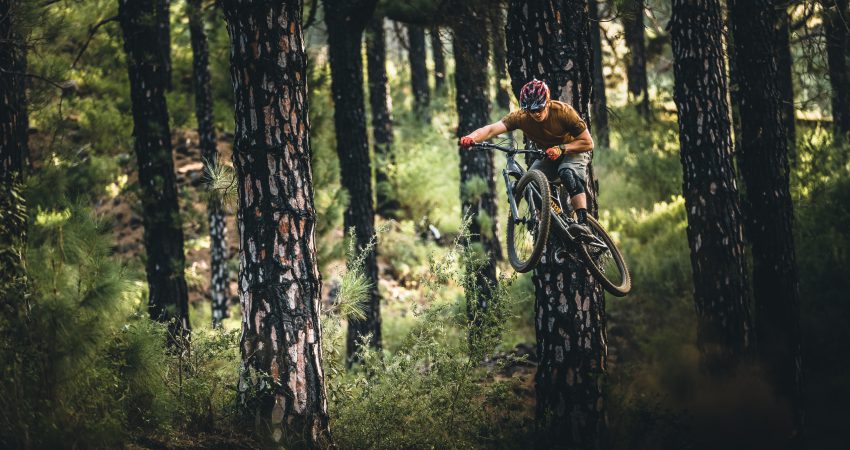 Jetzt Neu! Bikepark Kurs in Osternohe