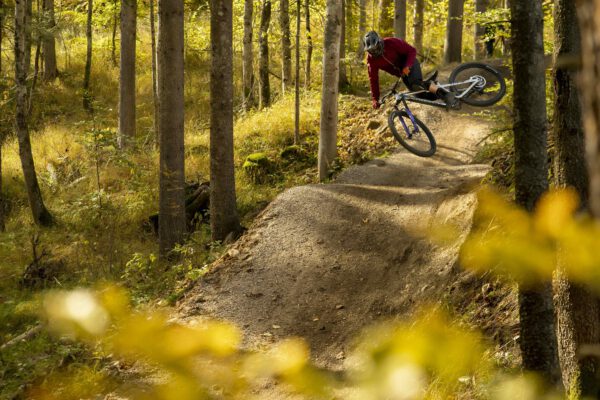 Bikepark-Kurs Schöneck