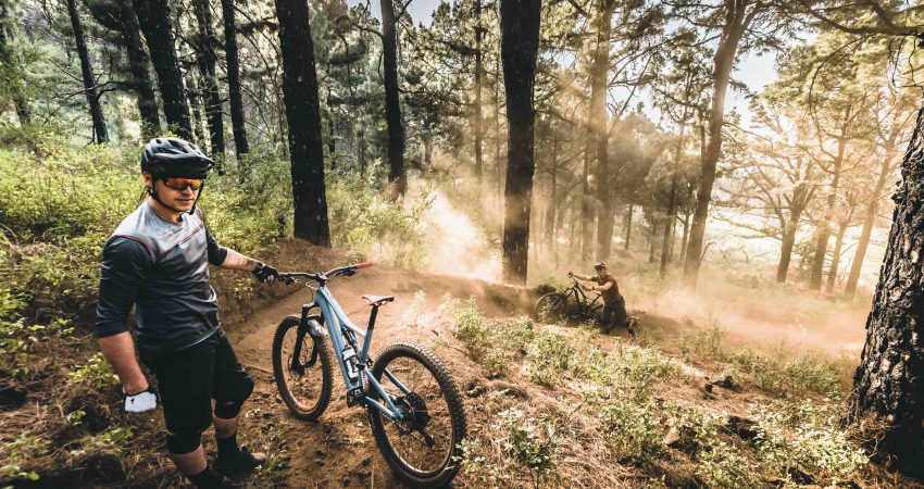 Basics Mountainbike