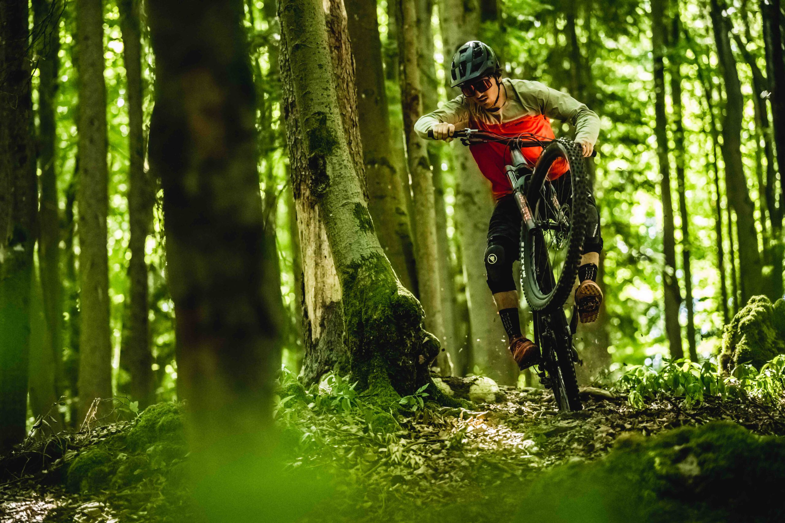 Bamberg Highlight Trailtour