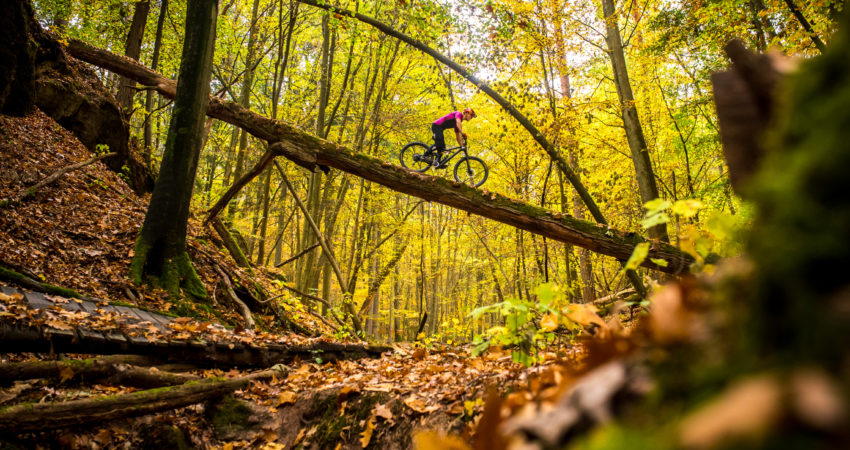 Farbenfroh durch den Herbst