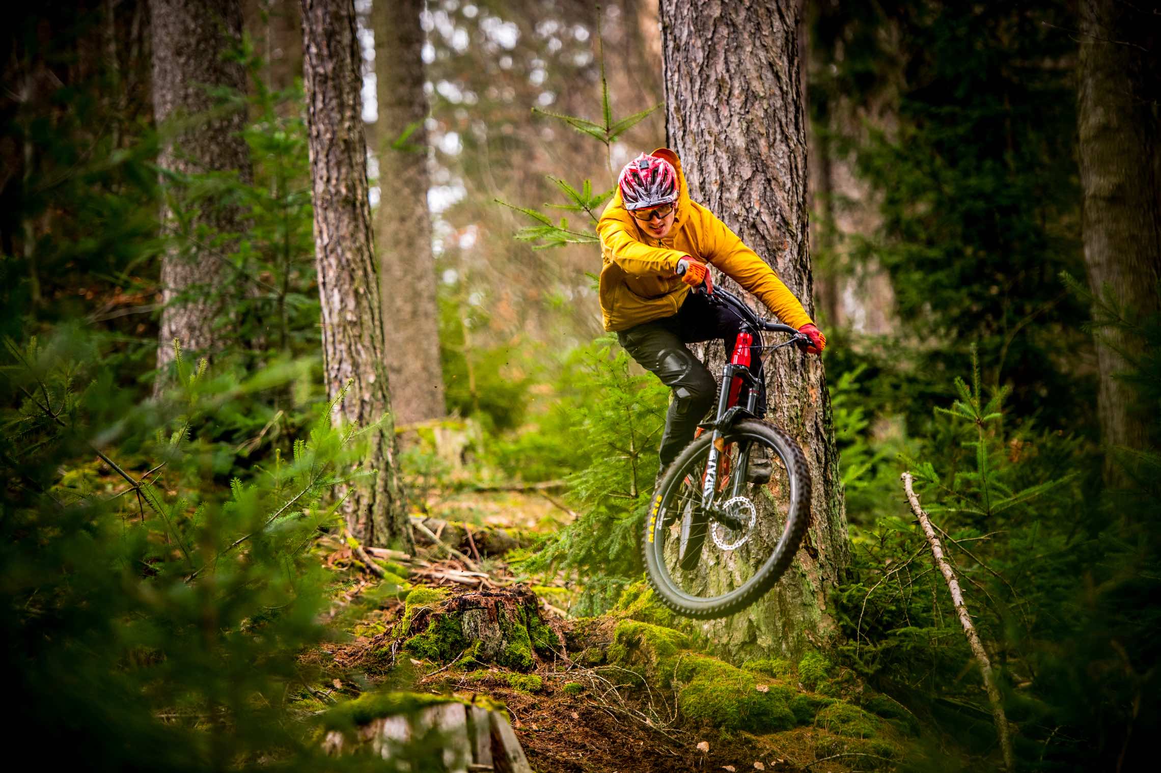 Bikepark-Kurs Schöneck – Bild 4